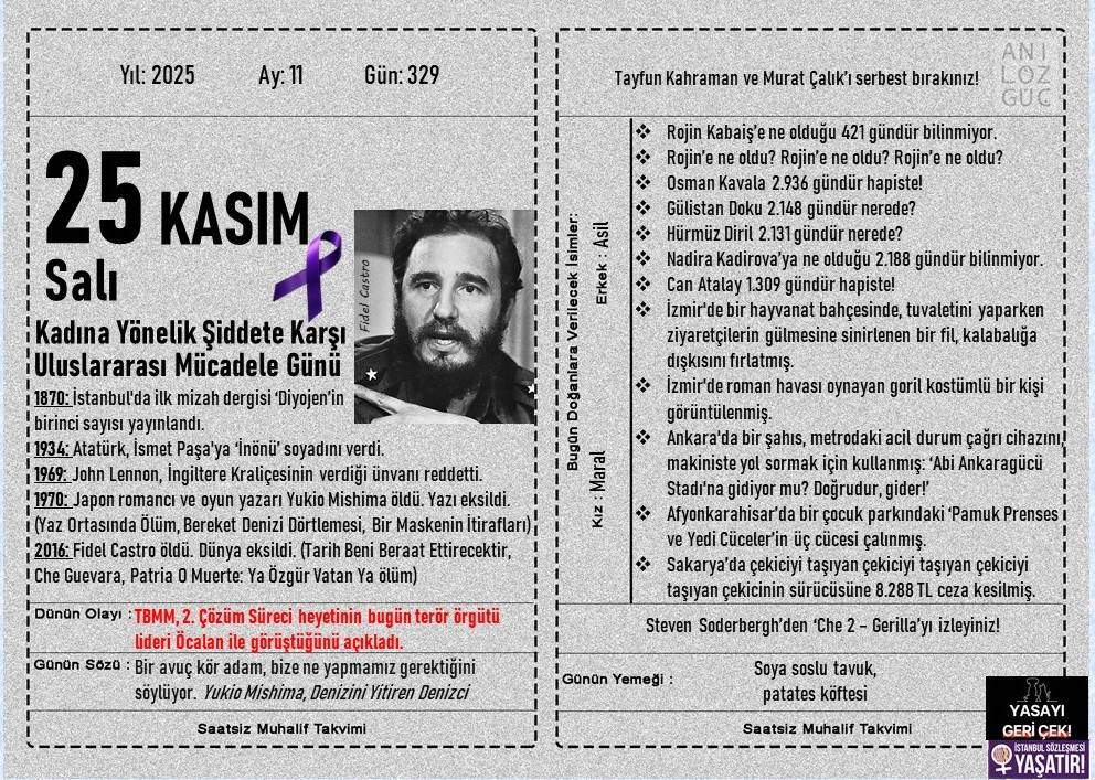 Kadına Yönelik Şiddete Karşı Uluslararası Mücadele Günü 1